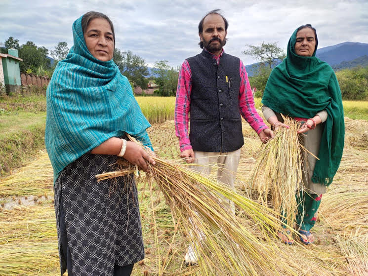 चरी सयाल मै बर्बाद फसल को दिखाते लोग चरी सयाल मै बर्बाद फसल को दिखाते लोग