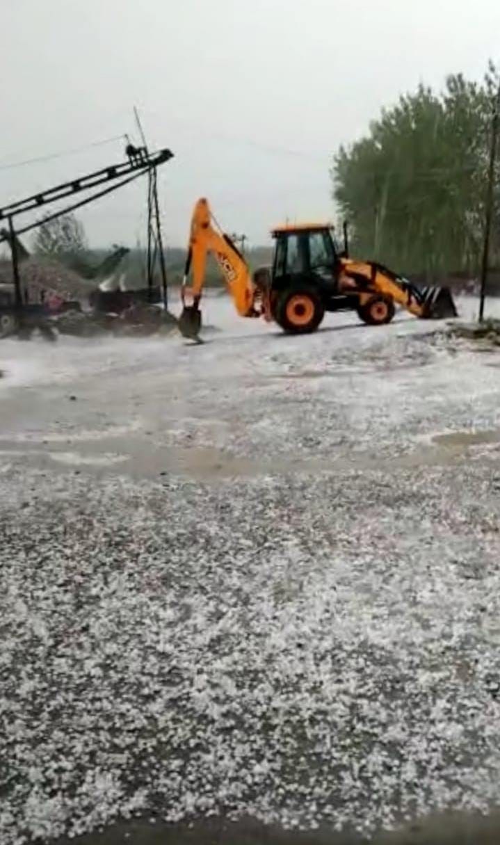 प्रतापनगर में ओलावृष्टि के दौरान सफेद हुई जमीन। संवाद प्रतापनगर में ओलावृष्टि के दौरान सफेद हुई जमीन। संवाद