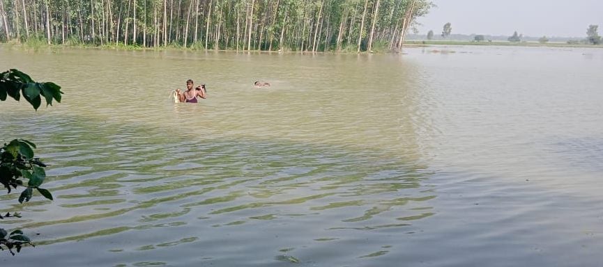 भिटोरा क्षेत्र के खेतों में भरे पानी से होकर निकलता किसान। संवाद