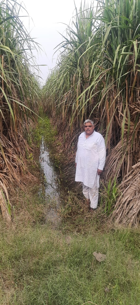 किसान दिलीप सिंह चौधरी किसान दिलीप सिंह चौधरी