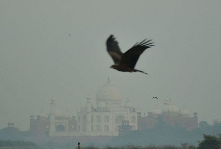 Indeks Kualitas Udara Agra Hari Ini: Agra Kota Paling Berpolusi Pada Hari Senin