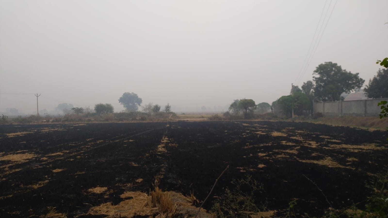जाखल में खेत में लगाई गई आग के बाकी बचे निशान। जाखल में खेत में लगाई गई आग के बाकी बचे निशान।