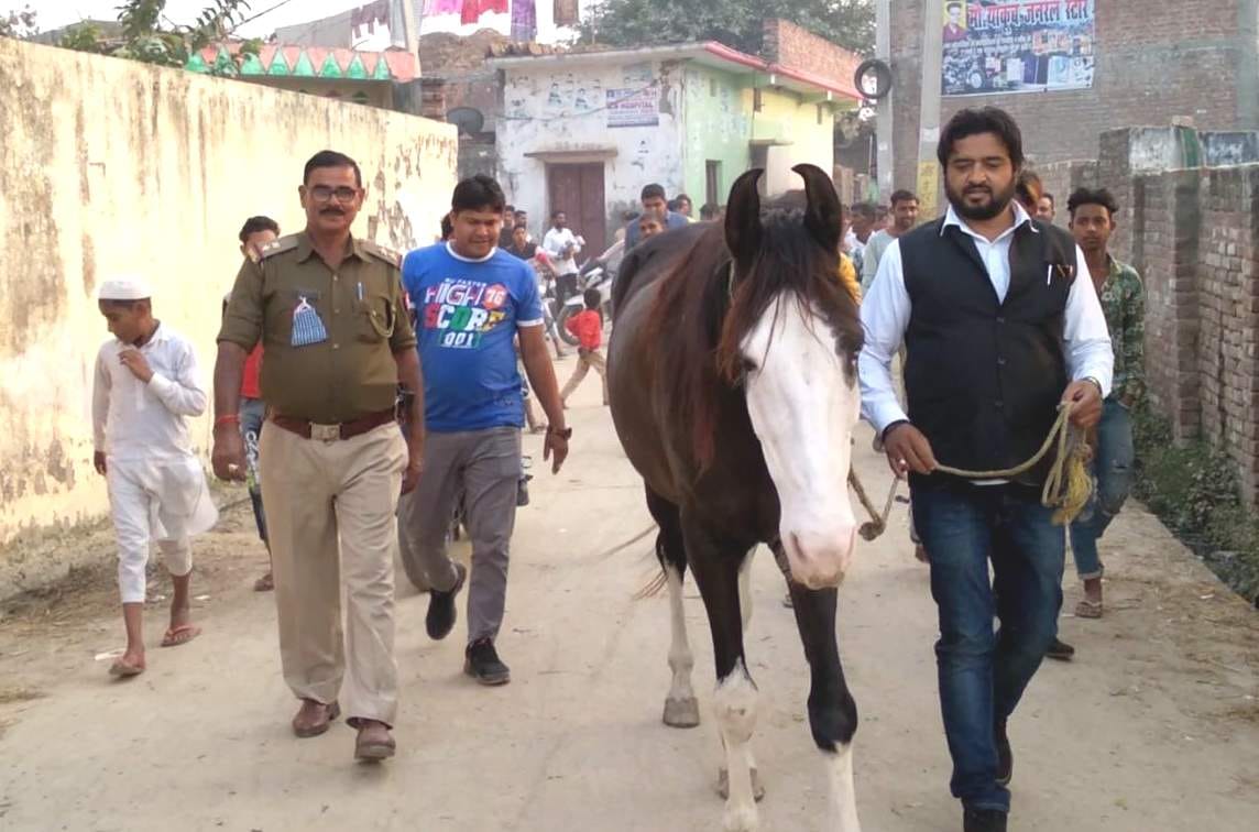 रामपुर में चोरी हुई कांग्रेस किसान प्रकोष्ठ के जिलाध्यक्ष हाजी नाजिश खां की घोड़ी को पुलिस ने का?