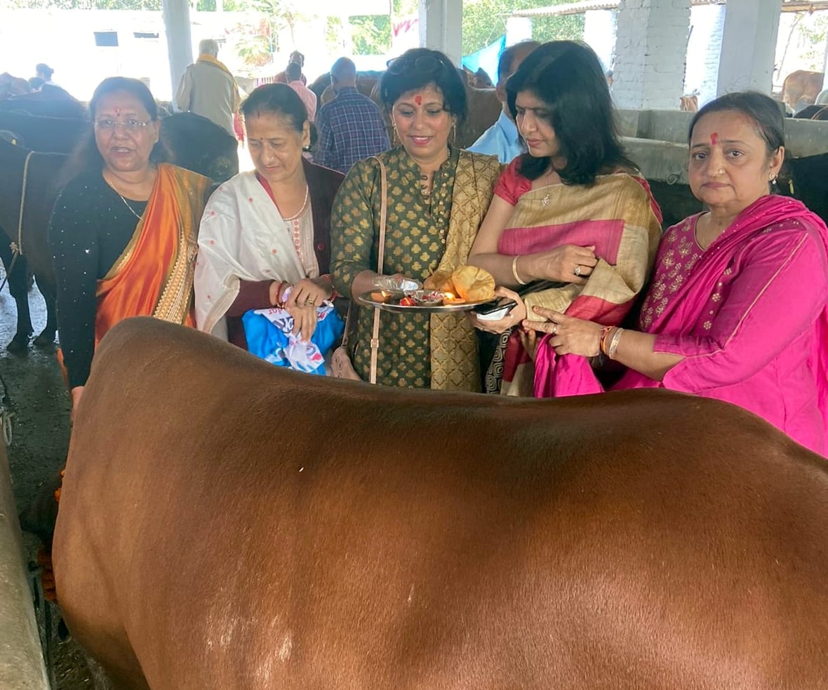 बिजनौर में नवलपुर बैराज के पास गौशाला में गोपाष्ठमी पर गाय की पूजा करती महिलाएं।