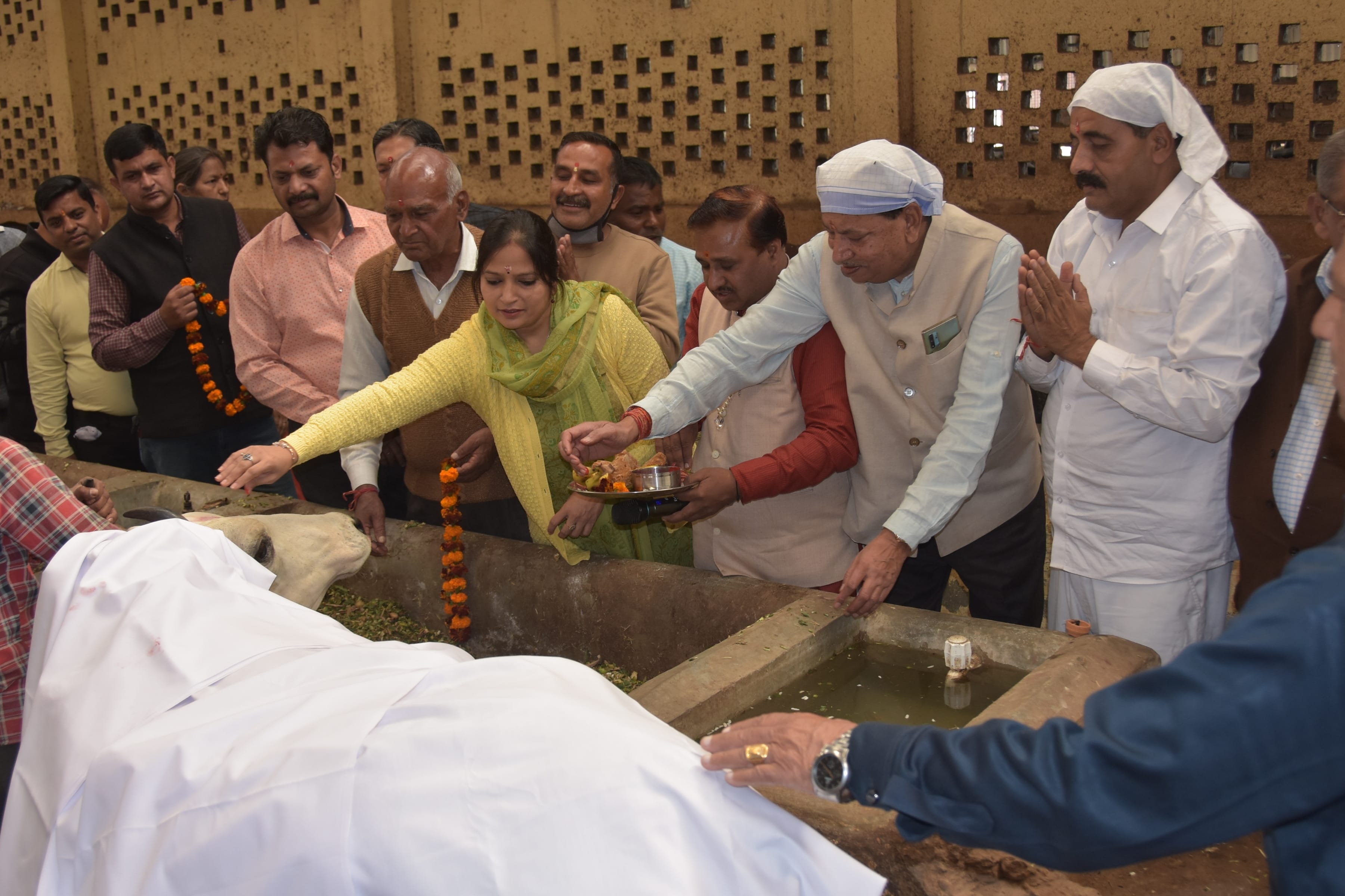 पिंजरापोल गौशाला में गोपाष्टमी पर आयोजित गौशाला में गौ पूजन करती एडीएमई व पदाधिकारी पिंजरापोल गौशाला में गोपाष्टमी पर आयोजित गौशाला में गौ पूजन करती एडीएमई व पदाधिकारी