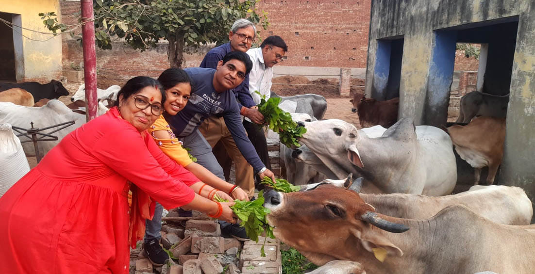 गोपाष्टमी पर्व पर खेकड़ा की श्री धमार्थ पंचायती गौशाला मे गौमाता को हरा चारा खिलाते महिला, पुरूष