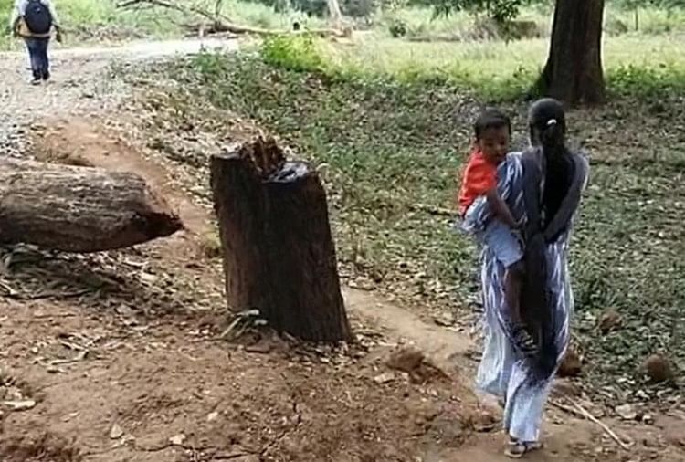 Naxalites Diculik Sub Insinyur Di Bijapur Chhattisgarh, Istri Pergi Ke Hutan Meminta Pembebasan, Buat Banding Ini