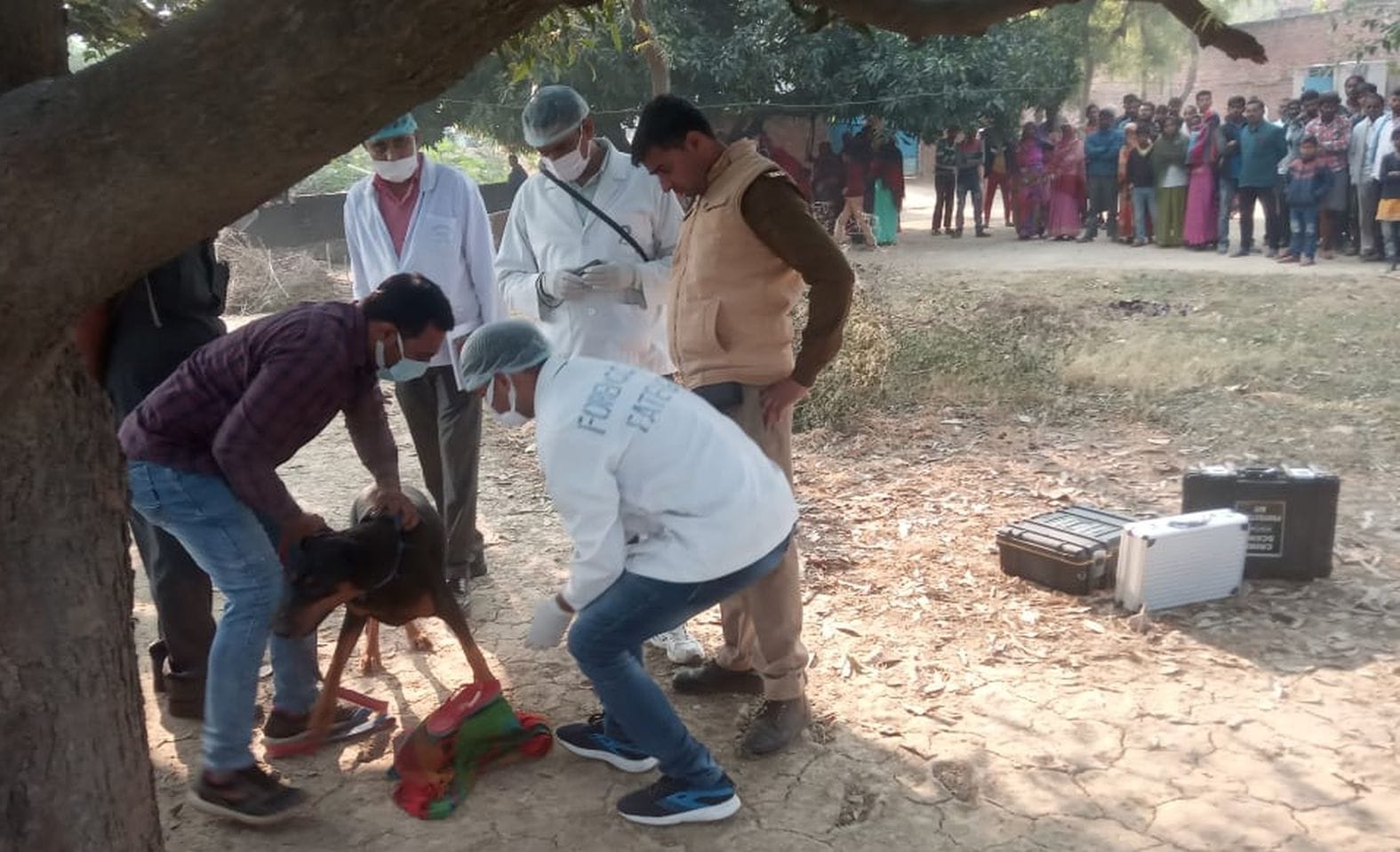 रवीना की हत्या के बाद खोजी कुत्ते को कपड़ा सुंघाते हैंडलर। संवाद रवीना की हत्या के बाद खोजी कुत्ते को कपड़ा सुंघाते हैंडलर। संवाद