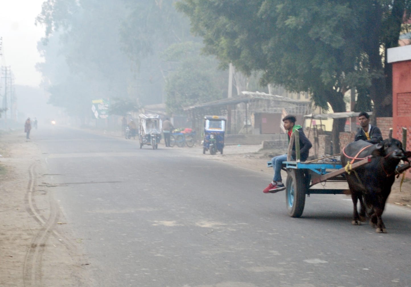 शामली माजरा रोड पर सुबह सात बजे फैला स्मॉग