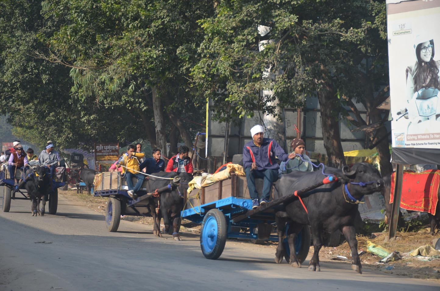 शुकतीर्थ मेले में भेंसा बुग्गी लेकर आते श्रद्धालु।