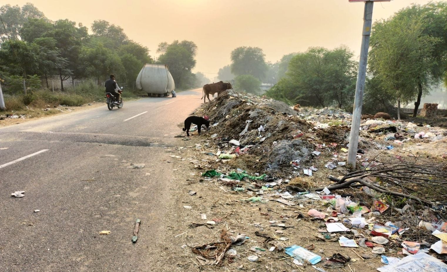 सांसद आदर्श गांव भिवानी रोहिल्ला में स्टेट हाइवे पर लगे कचरे के ढेर सांसद आदर्श गांव भिवानी रोहिल्ला में स्टेट हाइवे पर लगे कचरे के ढेर