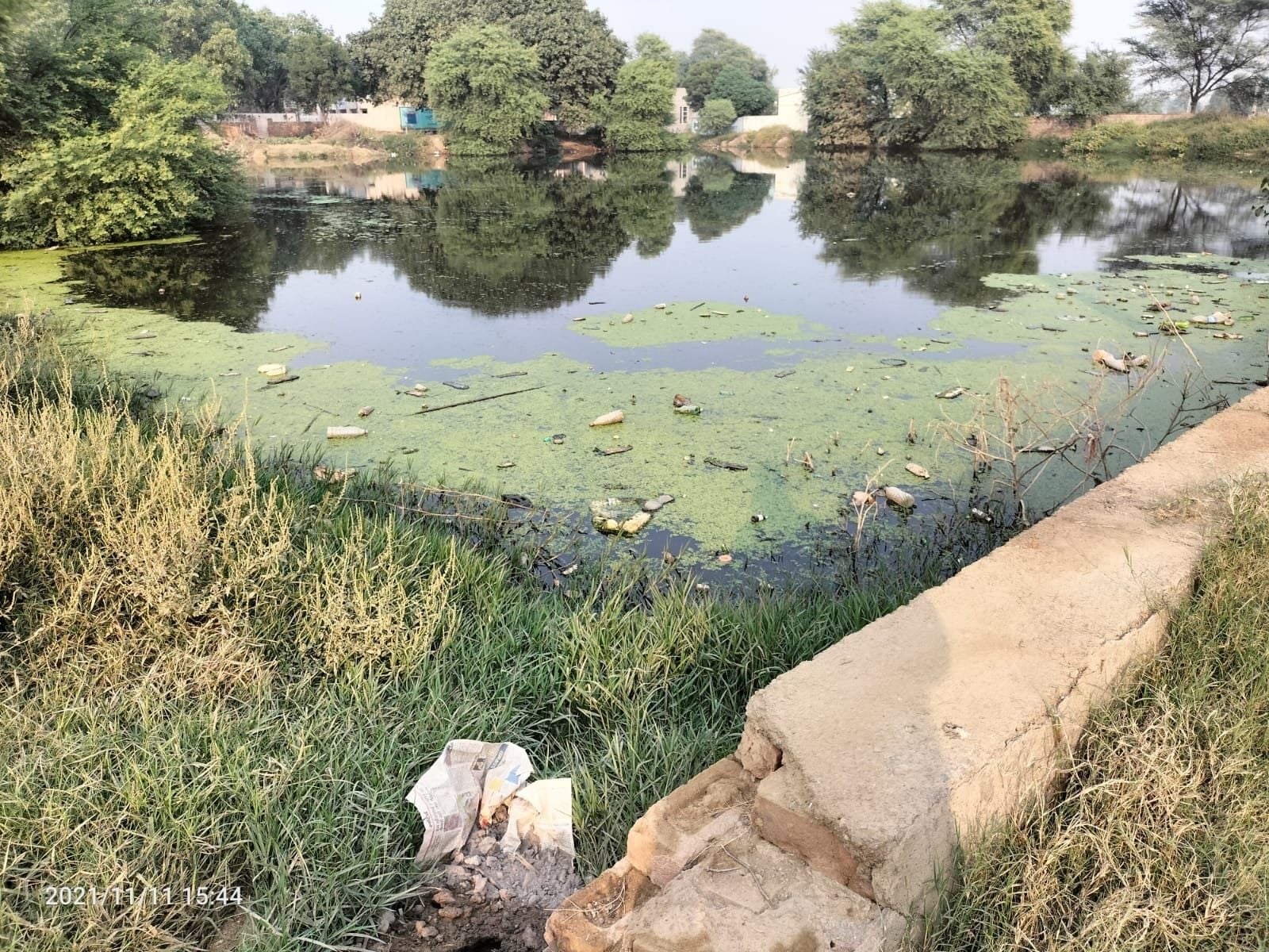 सांसद आदर्श गांव भिवानी रोहिल्ला में गंदे पानी का जोहड़ सांसद आदर्श गांव भिवानी रोहिल्ला में गंदे पानी का जोहड़