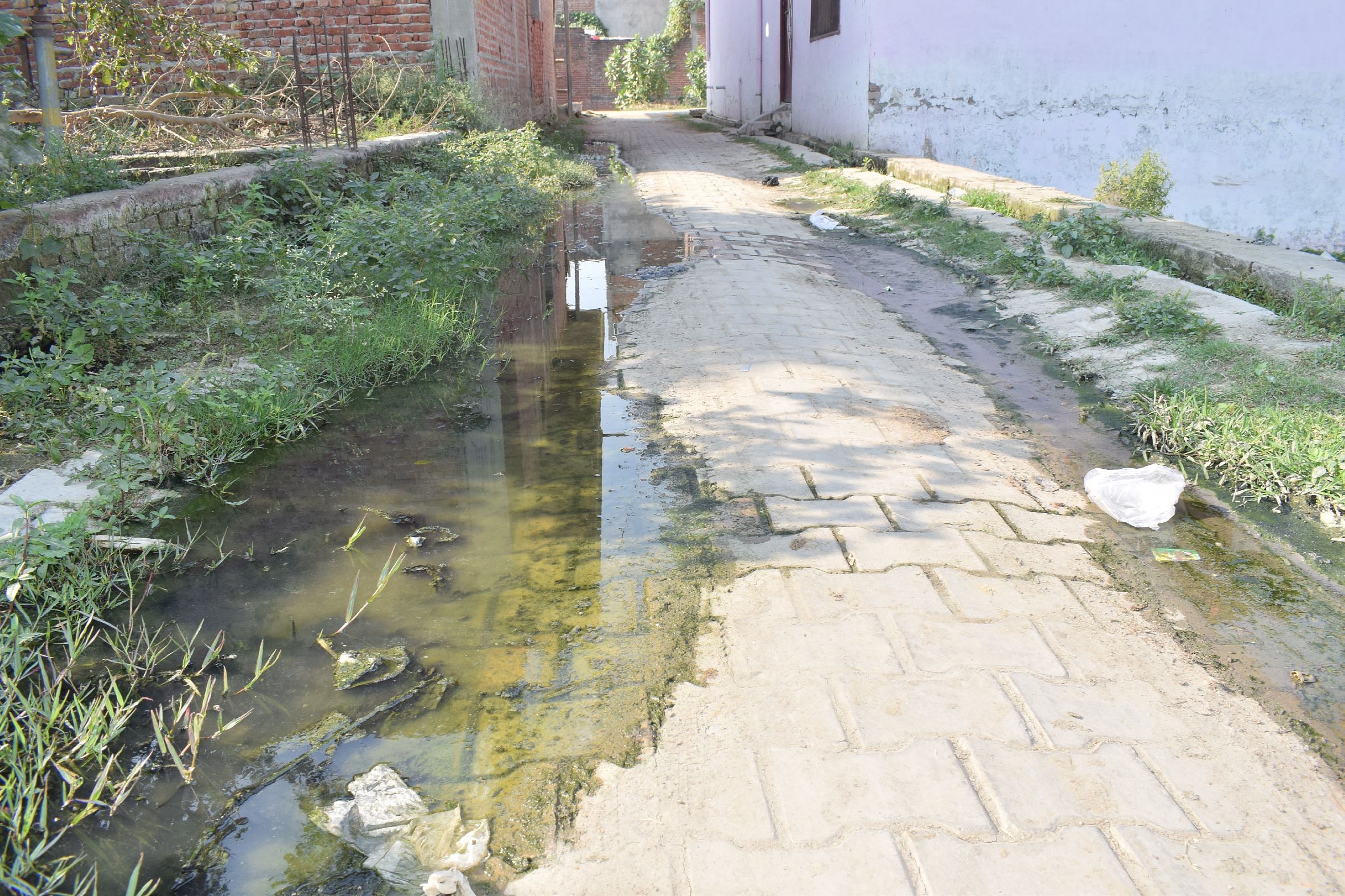 शाहजहांपुर के लोदीपुर की नई बस्ती में नाली चोक होने से गली में भरा पानी। संवाद