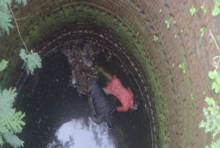 Jabalpur: Tes diatom akan mengungkap rahasia kematian dalam kasus sepasang kekasih yang mati di dalam sumur Jabalpur: Tes Diatom Akan Mengungkap Rahasia Kematian Dalam Kasus Sepasang Kekasih yang Meninggal di Sumur