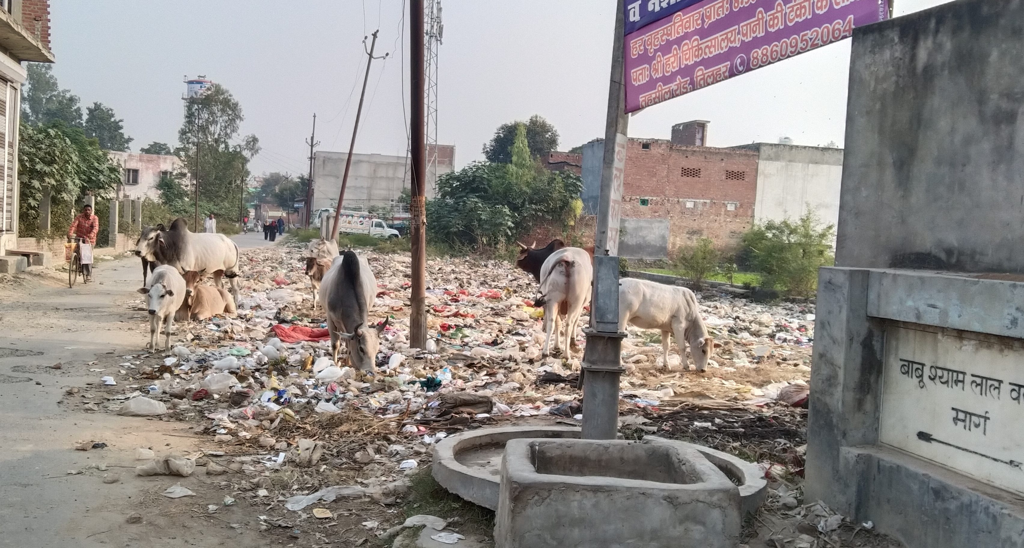 तिलहर में अस्पताल के पीछे पक्का कटरा जाने वाले मार्ग पर लगा कूड़े का ढेर।