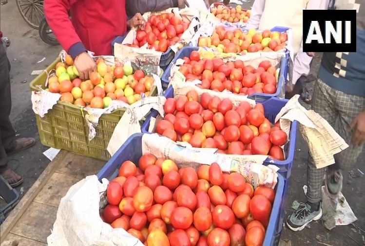 Facilité des prix de la tomate sur le marché de gros de légumes d’Okhla à Delhi