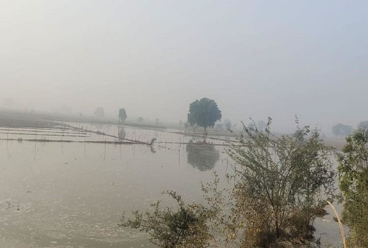 Des centaines de cultures submergées en raison de la rupture du canal Chambal à Agra