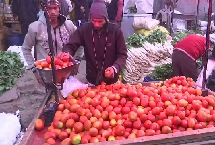 Le prix de la meilleure qualité de tomates a baissé jusqu’à Rs 50 par kg sur le marché aux légumes d’Azadpur mardi