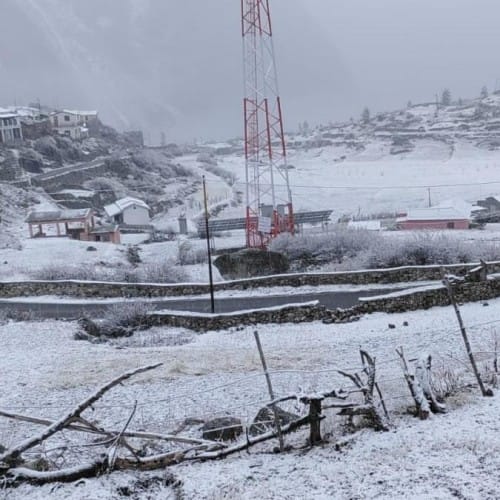 Uttarakhand News: Latest Uttarakhand News In Hindi, उत्तराखंड समाचार - Amar Ujala