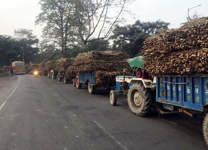 Chariots tracteurs chargés de canne à sucre coincée devant le moulin à sucre de Bajaj sur Banda Bilsanda Marg
