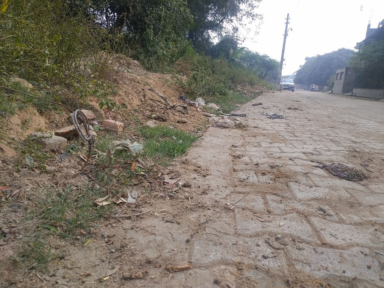 La saleté s'est propagée sur la route en raison du manque de balai à Indiranagar La saleté s'est propagée sur la route en raison du manque de balai à Indiranagar