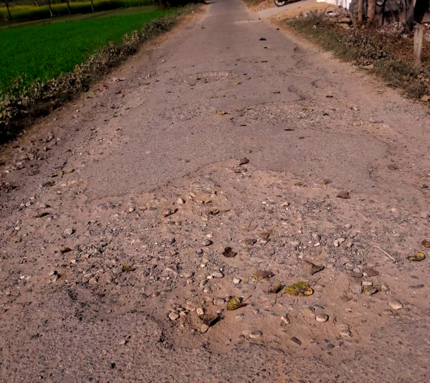 दल्हेड़ी गाँव की बड़गांव कस्बे में आने जाने वाली सड़क दल्हेड़ी गाँव की बड़गांव कस्बे में आने जाने वाली सड़क