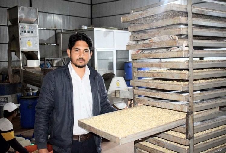 Un ingénieur civil a créé une entreprise de noix de cajou, gagnant un lakh chaque mois à Mandi Himachal