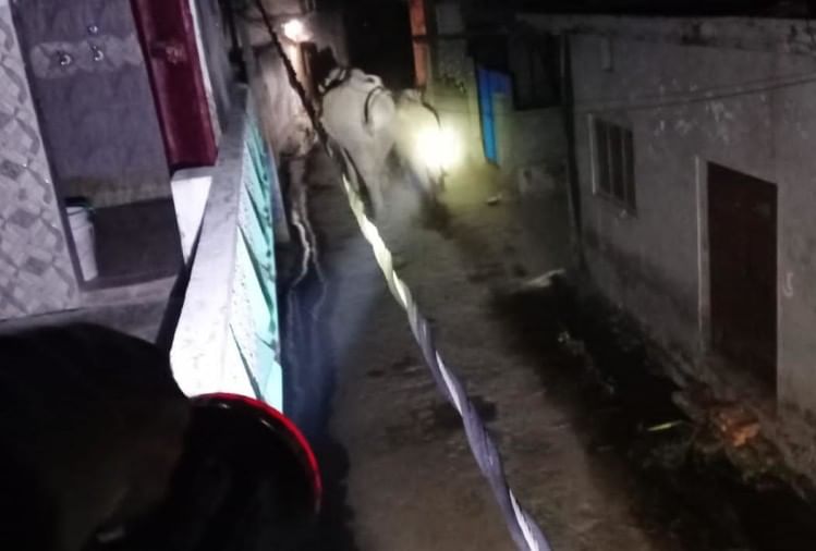 हरिद्वार: तीर्थनगरी में जंगली हाथियों ने मचाया हाहाकार, कई जगह दीवारें तोड़ीं, गुलदार ने बाइक सवार पर किया हमला