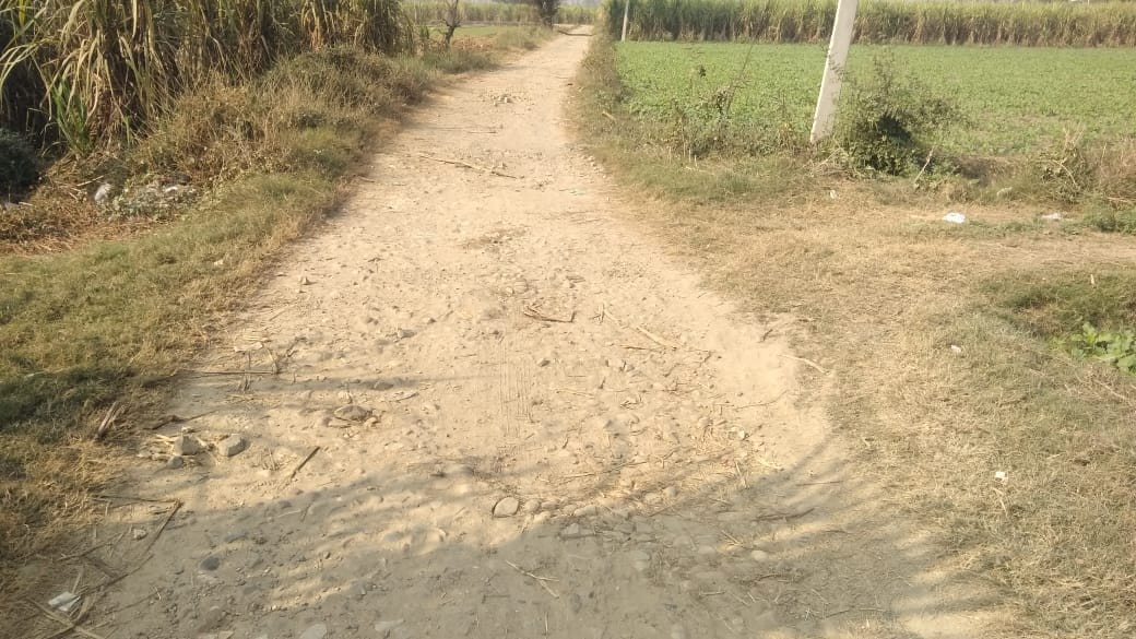 राझड़ से काजीपुरा जाने वाले रास्ते की हालत राझड़ से काजीपुरा जाने वाले रास्ते की हालत