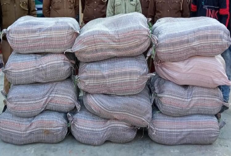 Up: Deux personnes arrêtées avec une ganja d’une valeur de quatre-vingts lakh roupies, ont été cachées dans 40 sacs dans un camion chargé de limaille de fer