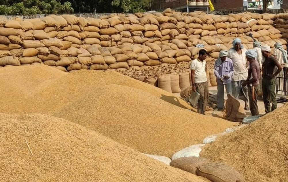 धान क्रय केंद्र में डंप धान। संवाद धान क्रय केंद्र में डंप धान। संवाद