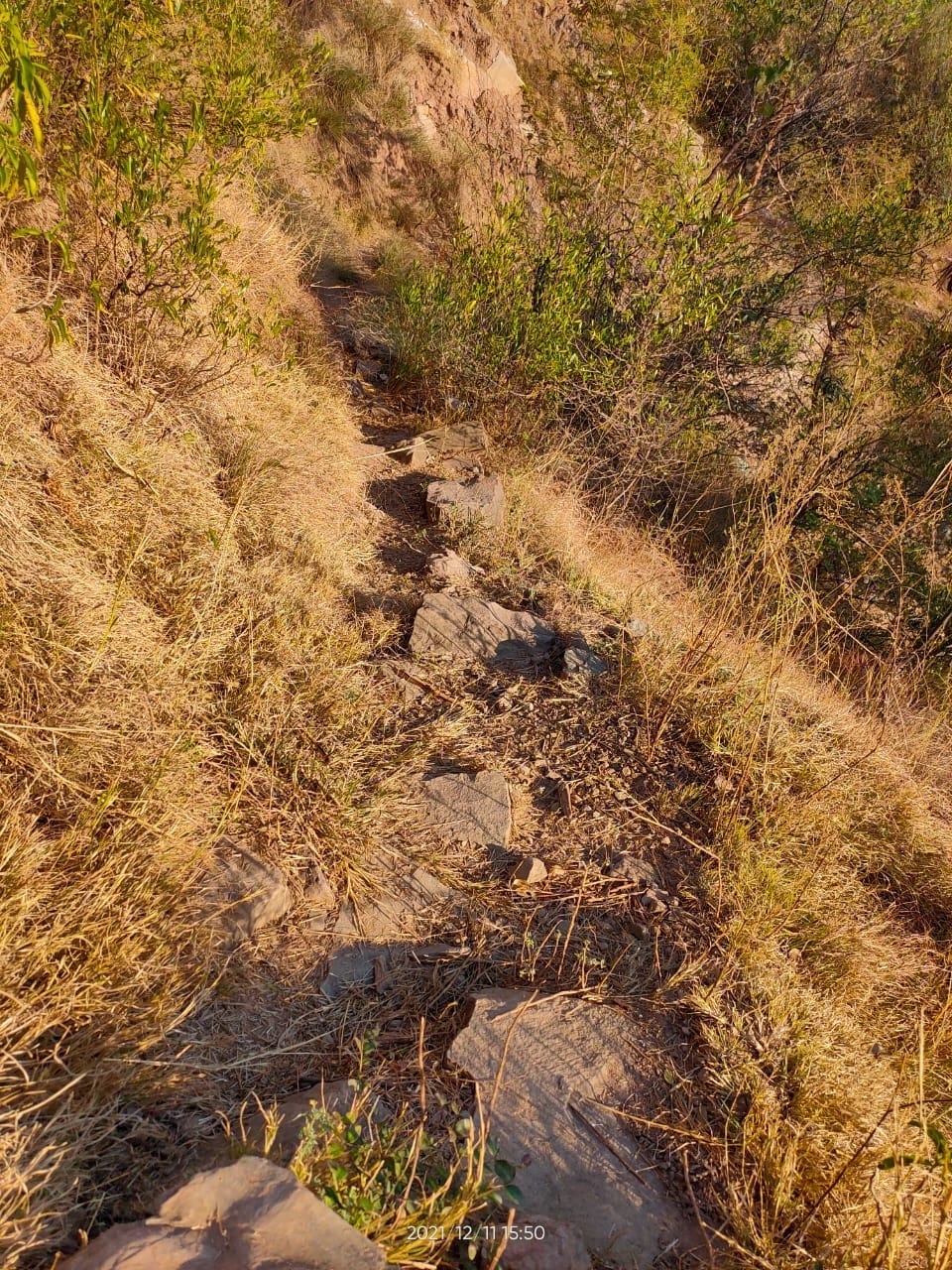 पथरीला, सिकूड़ा व घास से पटा प्रेम मंदिर से मलगास व शमशान घाट मार्ग:- संवाद पथरीला, सिकूड़ा व घास से पटा प्रेम मंदिर से मलगास व शमशान घाट मार्ग:- संवाद
