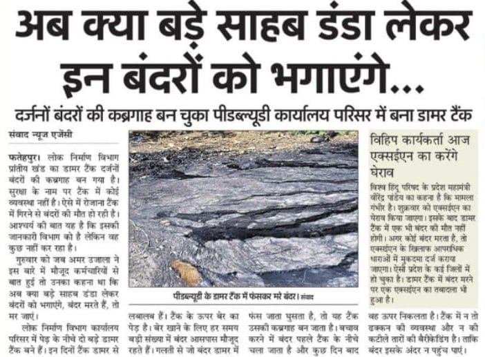 12 दिसंबर को प्रकाशित खबर। संवाद