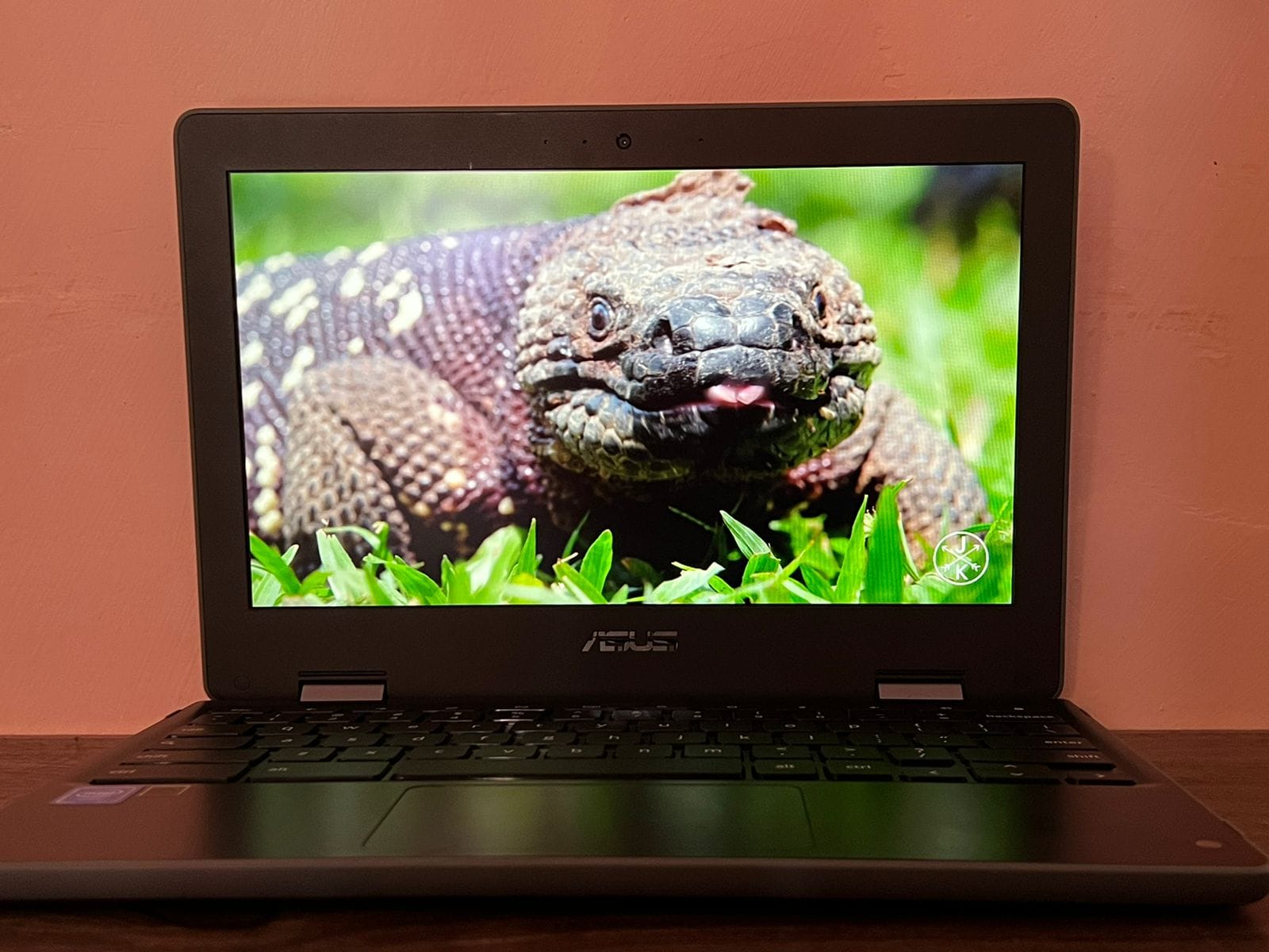 Asus Chromebook Flip C214: рдХреИрд╕рд╛ рд╣реИ 22,990 рд░реБрдкрдпреЗ рдореЗрдВ рдЖрдиреЗ рд╡рд╛рд▓рд╛ рдпрд╣ рд▓реИрдкрдЯреЙрдк, рдкрдврд╝реЗрдВ рд░рд┐рд╡реНрдпреВ