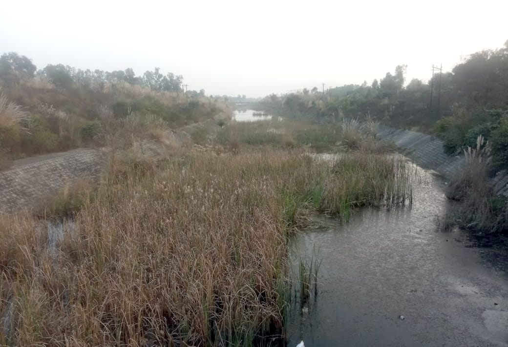 बिजनौर में निर्माणाधीन मध्य गंगा नहर में पानी नहीं चलने से उगी झाड़ियां। बिजनौर में निर्माणाधीन मध्य गंगा नहर में पानी नहीं चलने से उगी झाड़ियां।