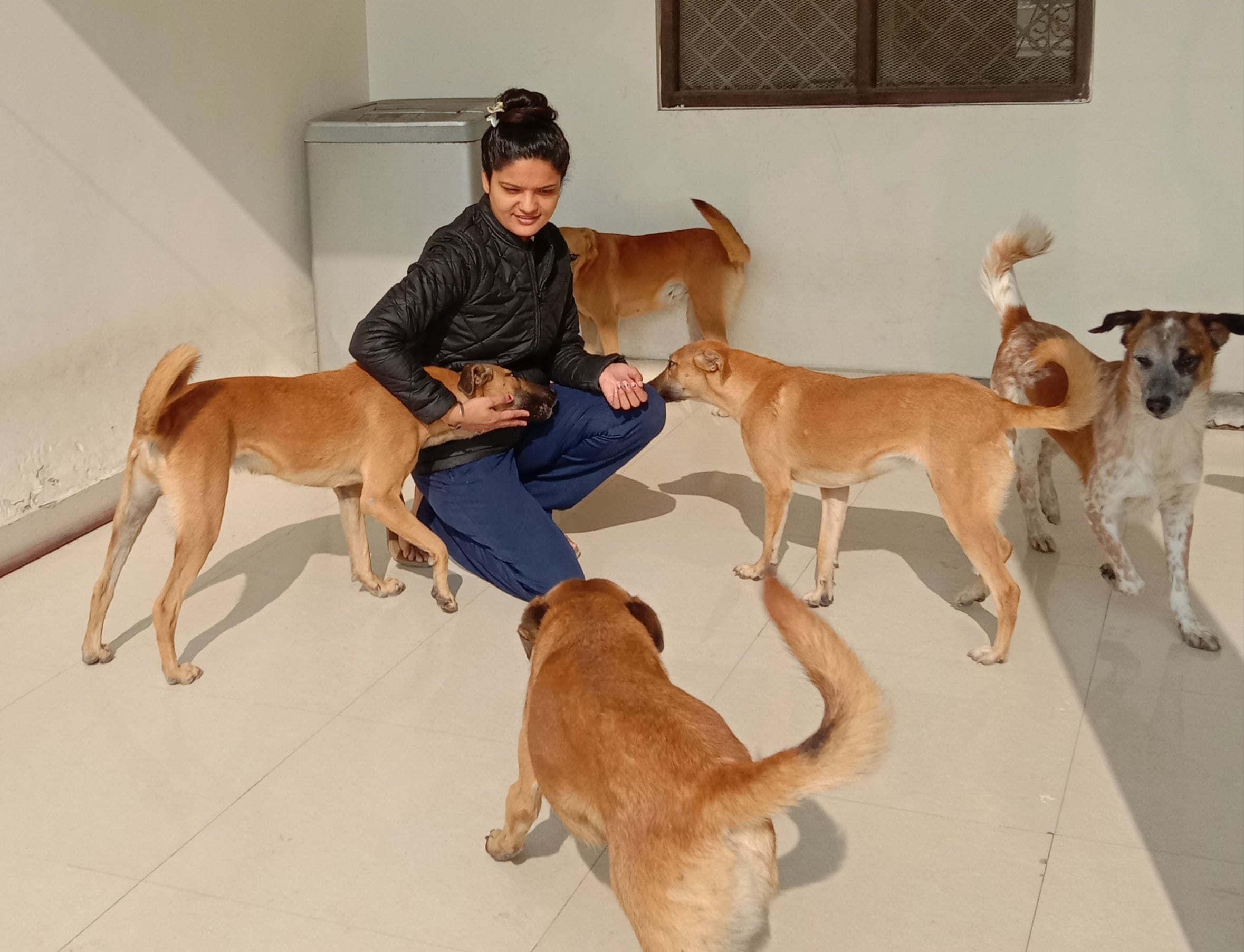 अपने घर पर कुत्तों को दुलारती स्नेहा वर्मा। अपने घर पर कुत्तों को दुलारती स्नेहा वर्मा।
