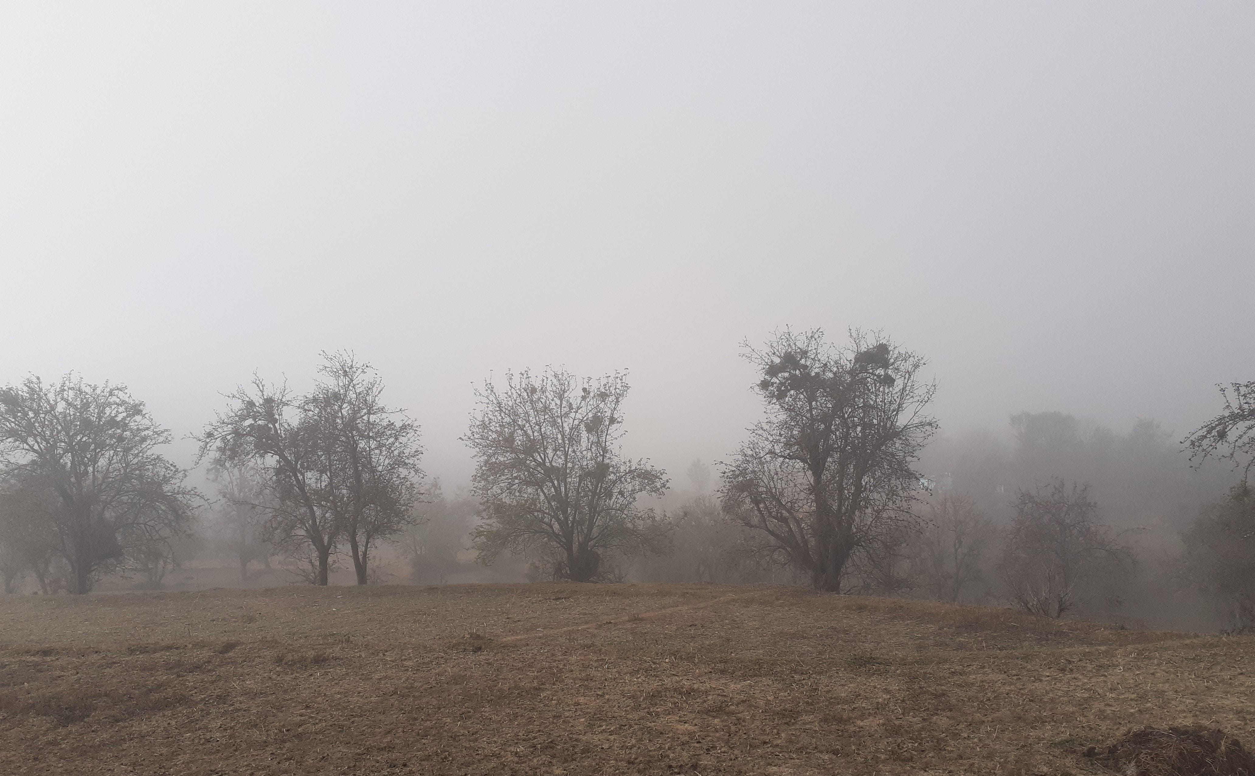 अल्मोड़ा में सुबह के समय लगा घना कोहरा। अल्मोड़ा में सुबह के समय लगा घना कोहरा।