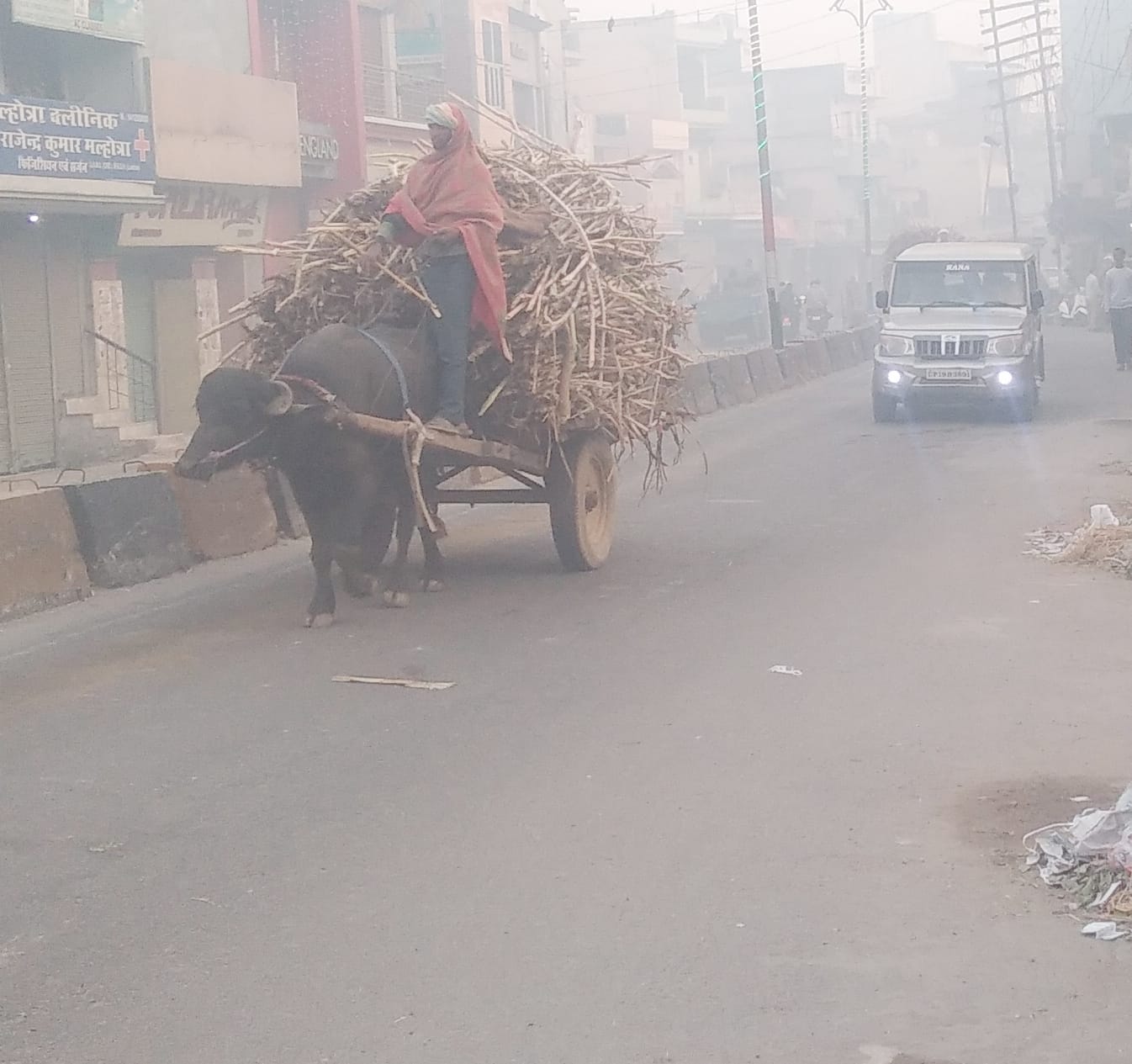 शामली कोहरे में गन्ने की बुग्गी मिल में ले जाता किसान