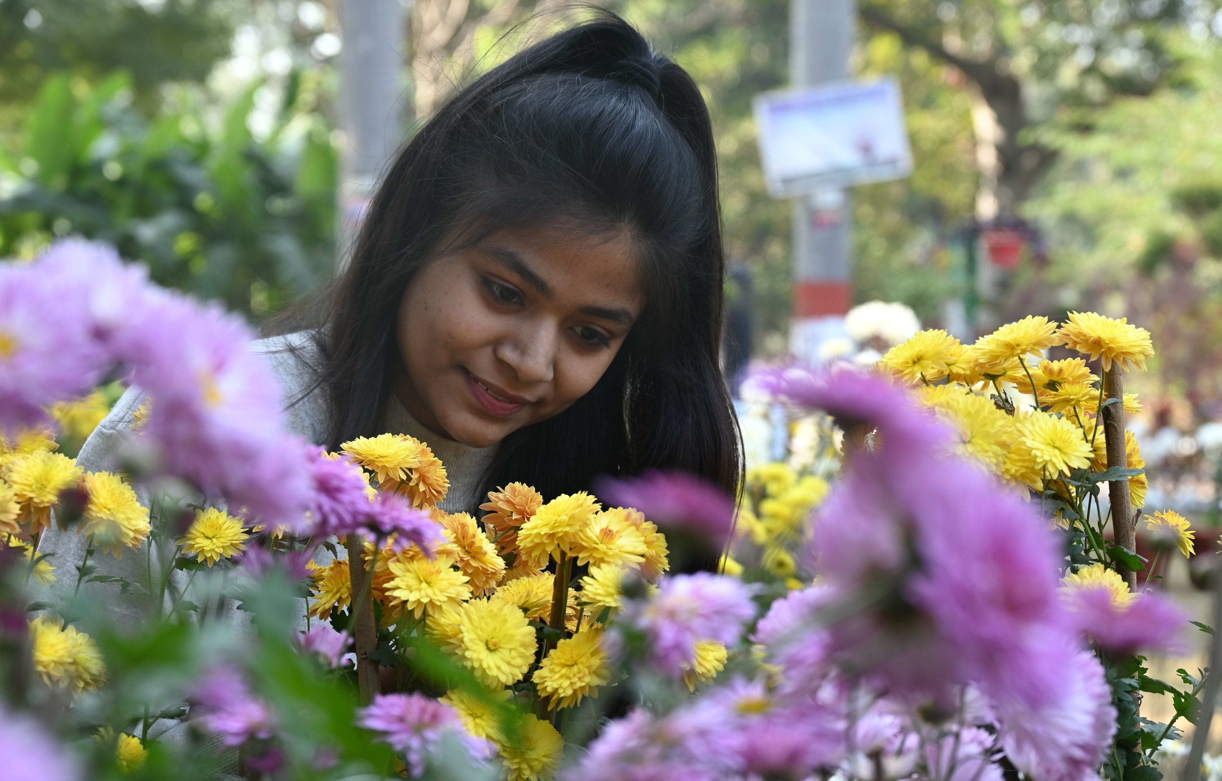 फ्लावर शो में फूलों को निहारती छात्रा साक्षी निंबल। संवाद