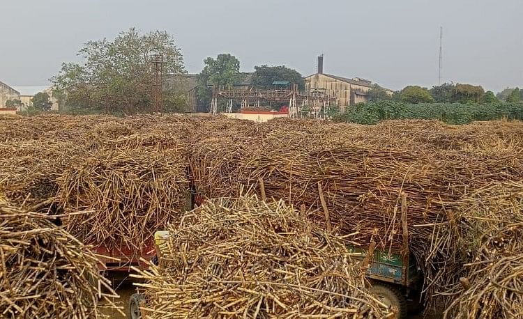 Sugar Cane – Pabrik gula ditutup kembali karena kesalahan teknis