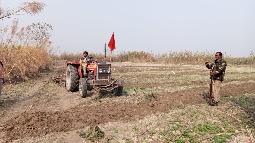 शुक्तिर्थ गंगा खादर में खड़ी फसलों पर चलता ट्रेक्टर। शुक्तिर्थ गंगा खादर में खड़ी फसलों पर चलता ट्रेक्टर।