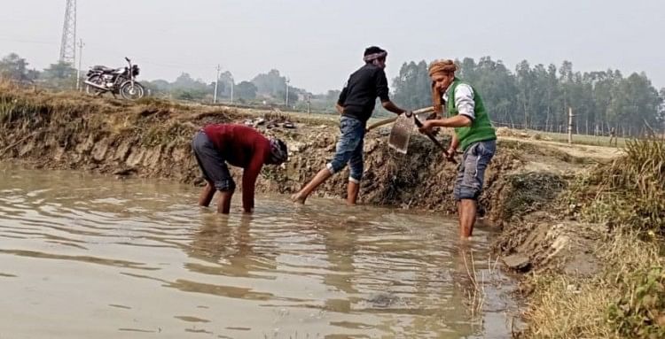 Civic – 200 bighas de récolte submergés en raison de la coupe de Khandi