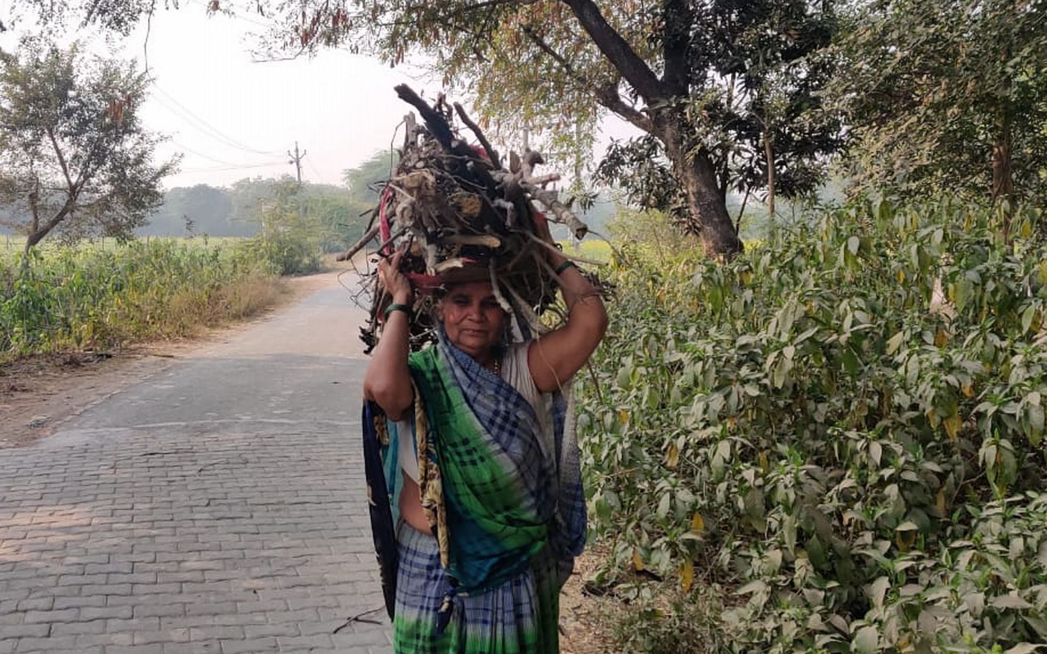 10 : Sangrampur : Asha Devi transportant du bois pour cuisiner.  -conversation