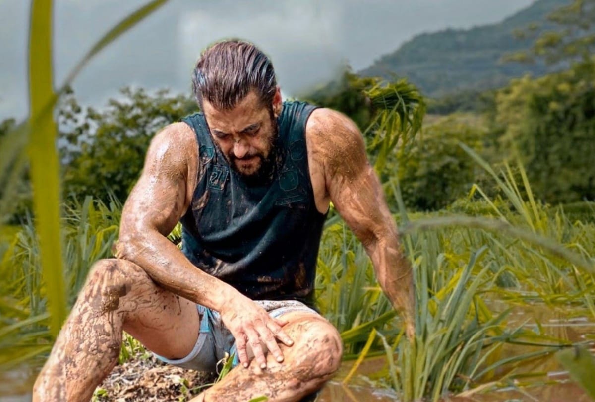 Salman Khan: सांप काटने की खबर से परेशान सलीम खान ने पूछा सलमान का हाल, एक्टर ने कहा- 'टाइगर भी जिंदा है सांप भी' - Entertainment News: Amar Ujala