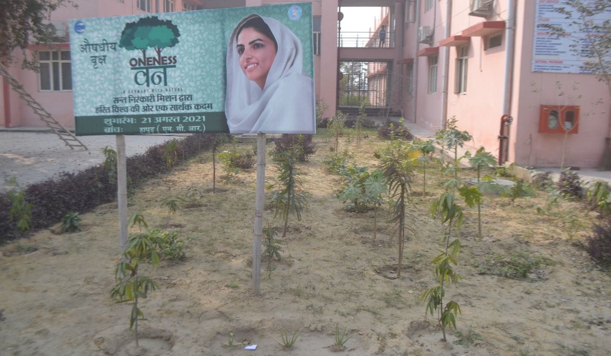 जिला अस्पताल स्थित पार्क में संस्था द्वारा लगाये गये औषधीय पौधे   संवाद