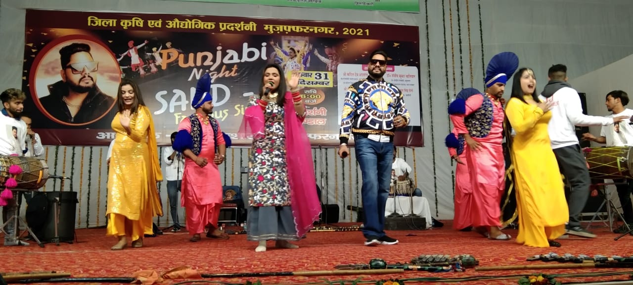 पंजाबी नाइट में प्रस्तुति देते कलाकार पंजाबी नाइट में प्रस्तुति देते कलाकार