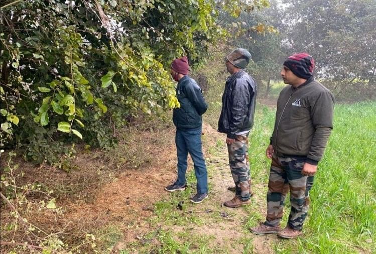 Langkah Kaki Macan Tutul Ditemukan di Nauhjheel Express Way Orang Mathura Dalam Kepanikan