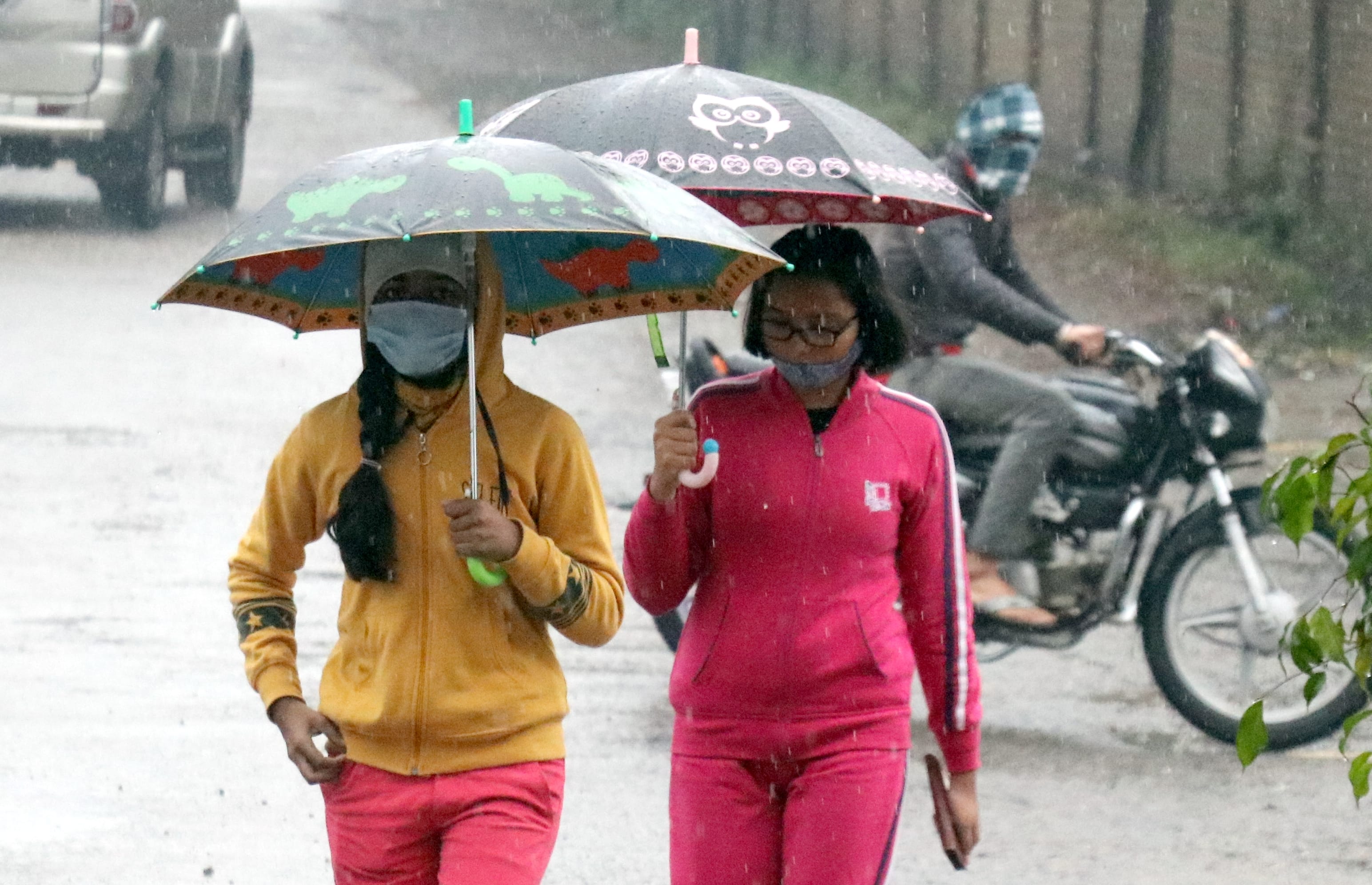 बिजनौर में शनिवार को बारिश में छाता लगाकर जाती युवतियां।