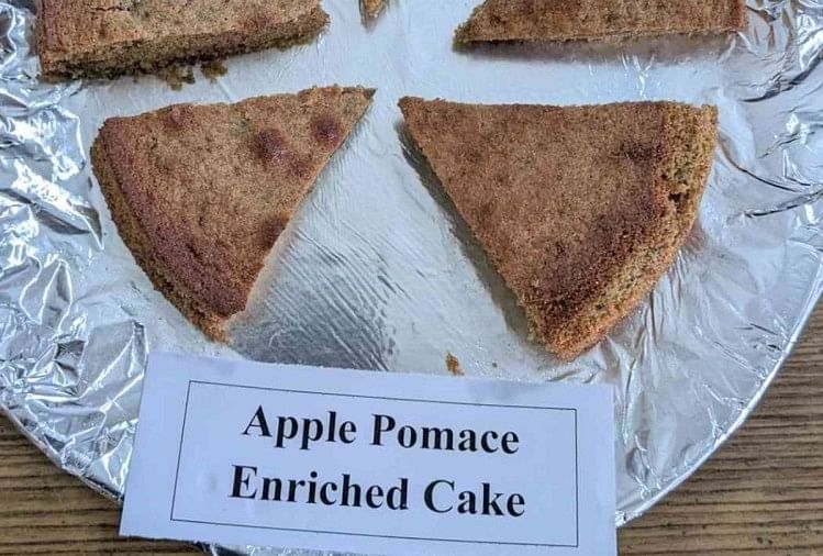 Manfaat Kesehatan Apple Pomace Enriched Cake – Sukses: Kue-roti akan dibuat dari apel pomace, industri akan mendapatkan penghasilan tambahan