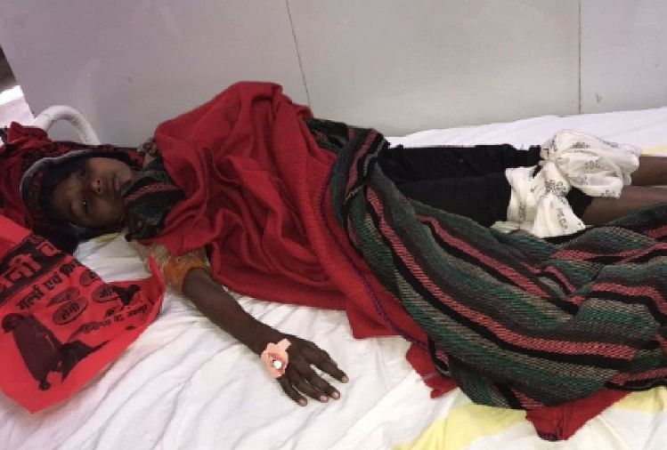 Chhatarpur: Gadis 9 tahun digigit ular sepanjang 10 kaki, gadis itu dirawat di rumah sakit distrik dalam kondisi kritis Chhatarpur: Gadis 9 Tahun Digigit Ular Sepanjang 10 Kaki, Gadis Itu Masuk Rumah Sakit Distrik Dalam Kondisi Kritis